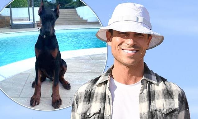 Joey Essex returns puppy animal rights activists slammed cropped ears