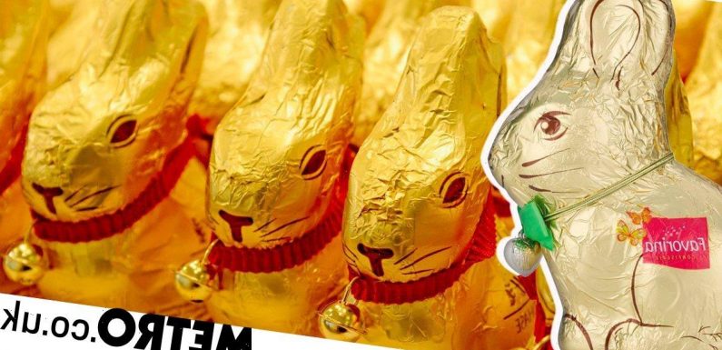 Lidl must melt its chocolate bunnies for being 'too similar' to Lindt