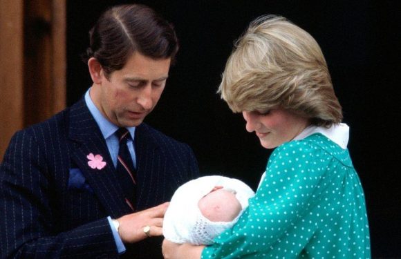 Mad conspiracy says William and Harry have IVF sister who is real heir to throne