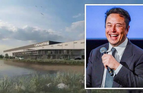 Musk tipped for major UK expansion with gigafactory takeover
