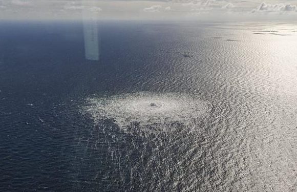 Nord Stream leaks raise climate fears as gas can affect marine life
