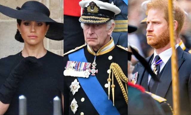 Prince Harry Did Not Bail on Dinner With King Charles III Over Meghan Markle Ban
