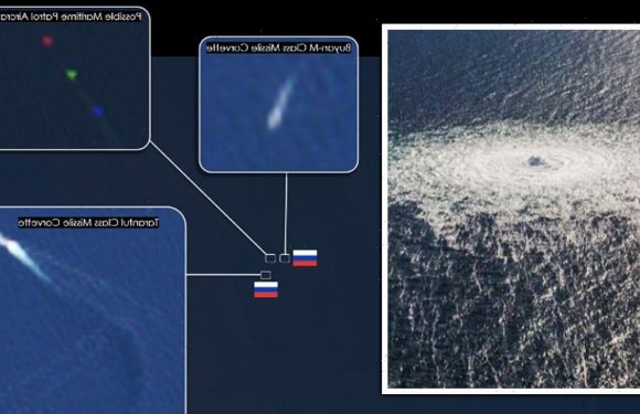 Putin exposed as Russian warships spotted near sabotaged pipelines