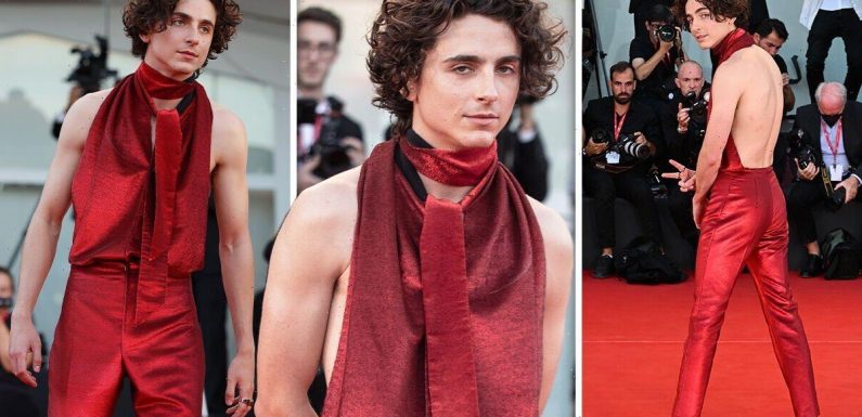 Timothée Chalamet dons backless red jumpsuit at Venice Film Festival