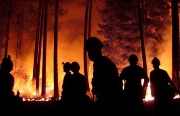 ‘We are heading in the wrong direction’, warns UN climate report