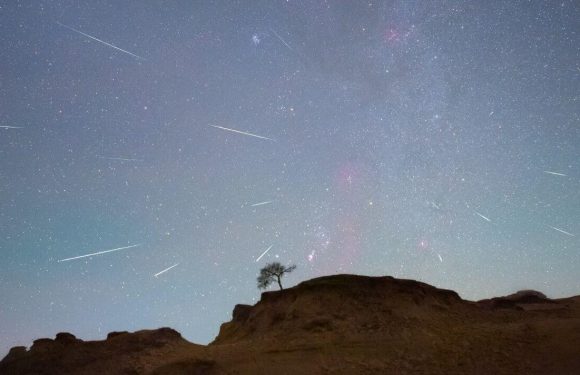 Britons brace for Orionids meteor shower this week – how to watch