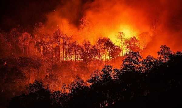 Climate emergency now at ’code red’ say scientists calling for action