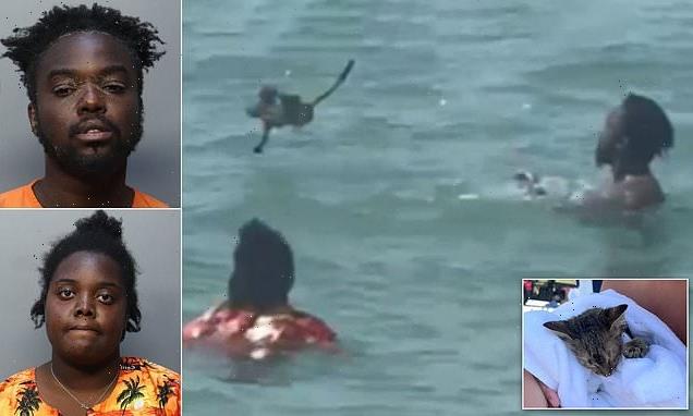 Couple are filmed torturing kitten by throwing him in Florida beach