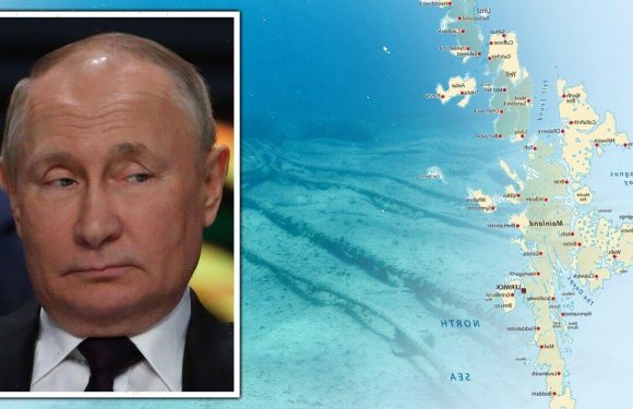 Damaged Shetlands cable ‘may have been a dry run for Russia’ – claim
