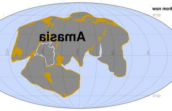 Earth's next supercontinent Amasia will form in 300 million years