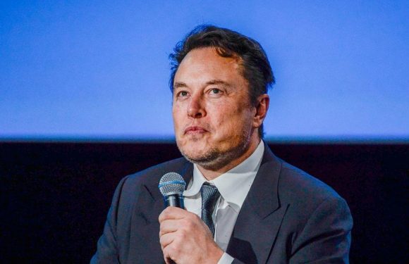 Elon Musk announces ‘comedy is now legal on Twitter’ amid controversial takeover