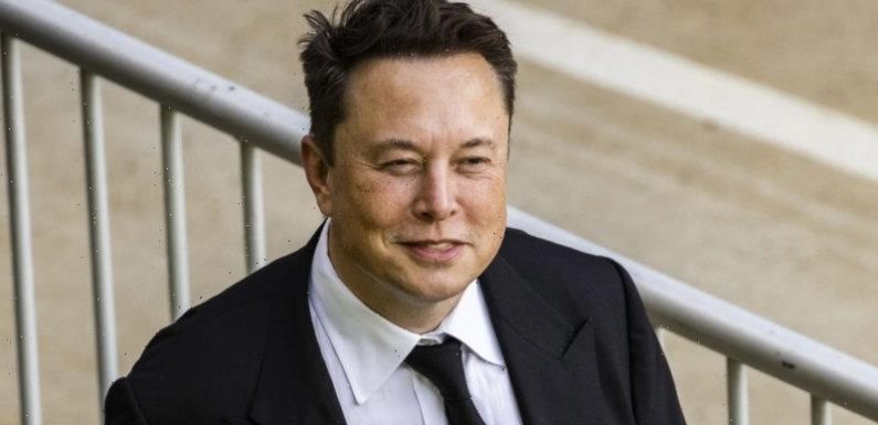 Elon Musk prepares ‘mass sackings’ at Twitter, asks managers to draw up lists