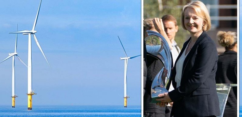 Energy crisis lifeline as world’s largest wind farm to power 8m homes