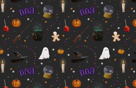 Halloween brain teaser challenges you to find the hidden black cat in a spooky scene – how long does it take you? | The Sun