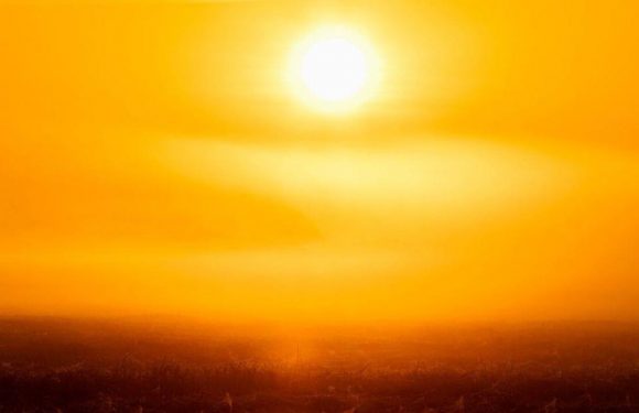 Heatwaves to render regions uninhabitable within decades, report warns