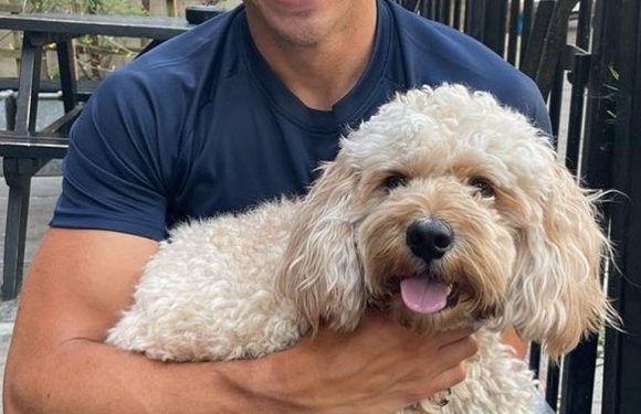 Hollyoaks newcomer Beau star Jon-Paul Bell’s soap past exposed with ITV stint