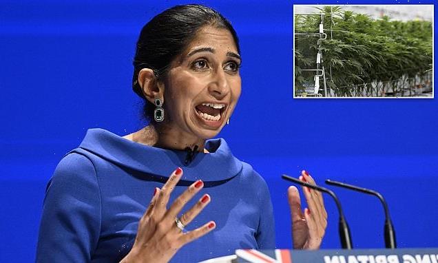 Home Secretary Suella Braverman considers making cannabis class A drug