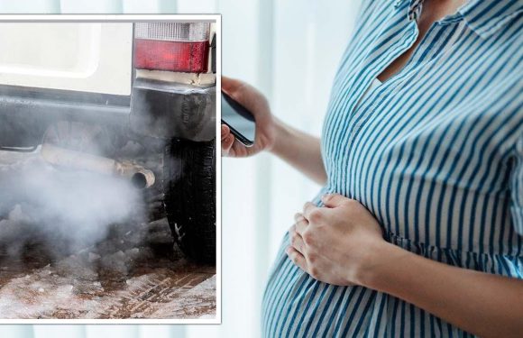 Horror warning as foetuses at risk from air pollution to stunt organs