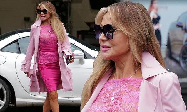 Lizzie Cundy, 54, goes braless in a sheer lacy pink peplum dress