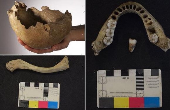 Oldest human DNA from Britain may have been from a cannibal