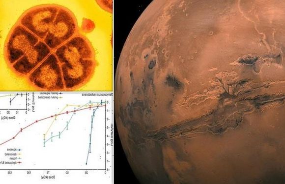 Organisms could survive on Mars for 280 million years, study says