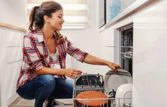 People are only just realising the correct way to load a dishwasher and their minds are blown | The Sun
