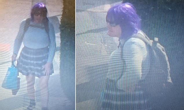 Police issue pictures in hunt for person who exposed genitals to girls