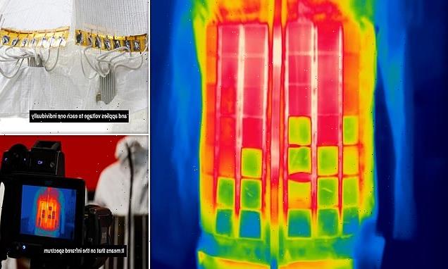 Real-life 'invisibility cloak' could be available within 10 years