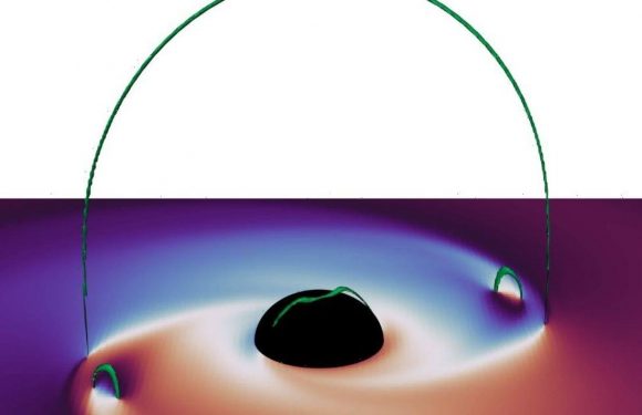 Spinning black holes may create short cracks in spacetime