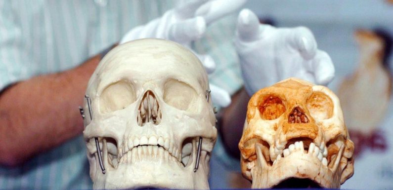 Strange loophole means buying and selling human bones is not technically illegal