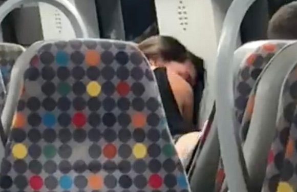 Train passenger baffled at couple brazenly having sex behind him on ‘bumpy ride’