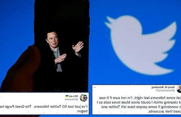 Twitter users report losing followers after Elon Musk takeover