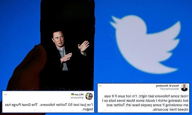 Twitter users report losing followers after Elon Musk takeover