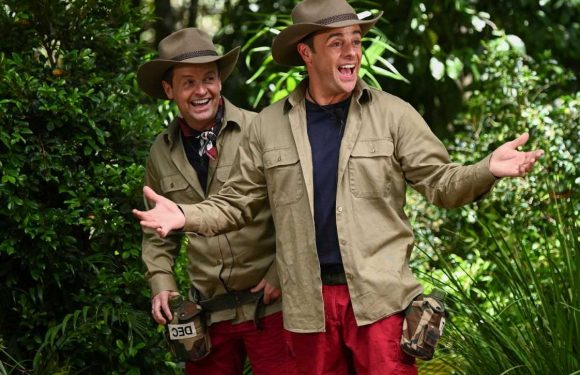 Where is I'm A Celebrity filmed and can you visit the Australian jungle set? | The Sun
