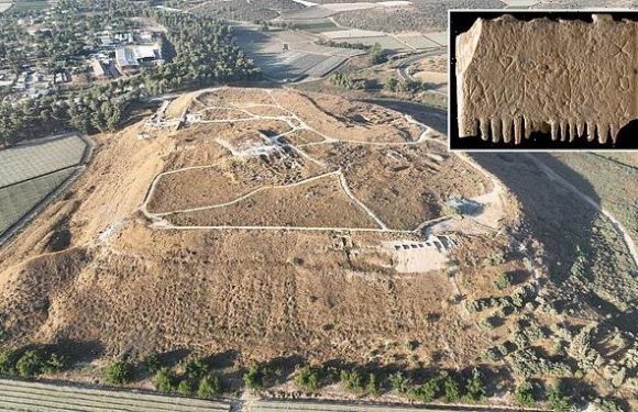 3,700-year-old ivory comb inscribed with plea to eradicate BEARD LICE