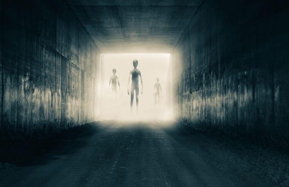 Aliens may be found ‘pretty soon’, warns top British scientist after UFO reports