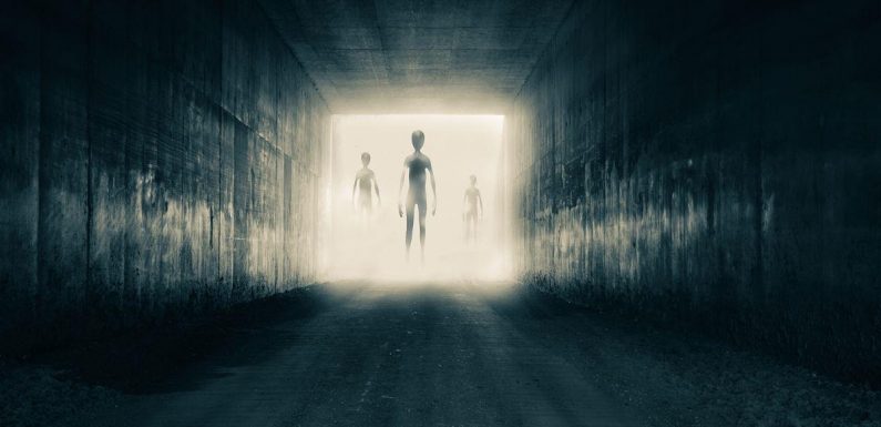 Aliens may be found ‘pretty soon’, warns top British scientist after UFO reports