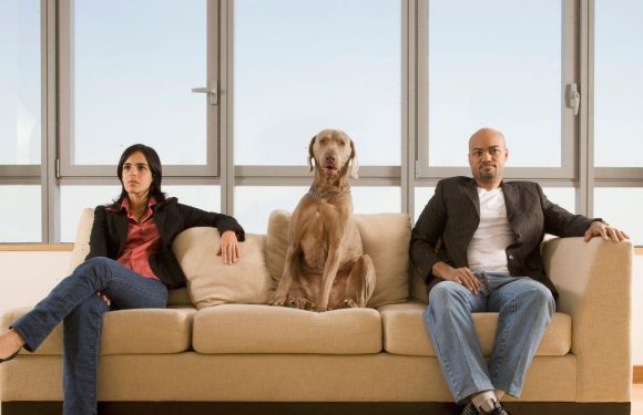 Barking mad court lets pets decide who their owners will be in divorce battle
