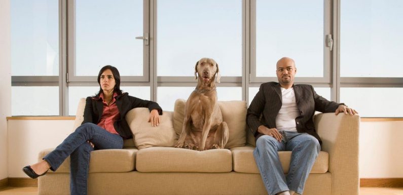 Barking mad court lets pets decide who their owners will be in divorce battle
