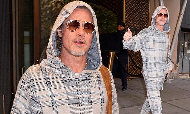 Brad Pitt, 58, dons youthful look after with Ines de Ramon, 29, date
