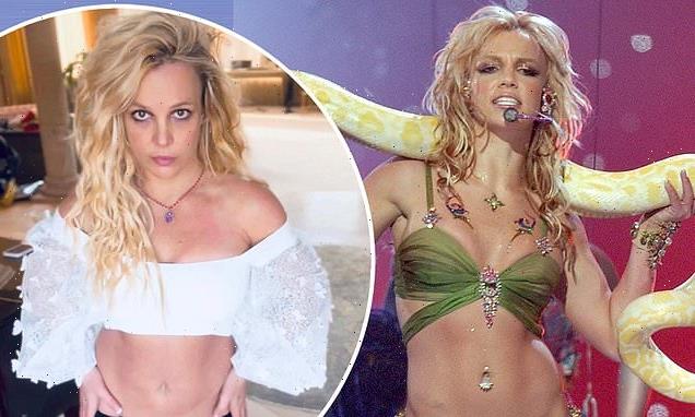Britney Spears suffered 'mental trauma' from conservatorship