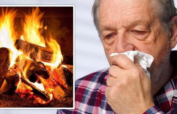 Britons told energy saving log burners now ‘increase health risk’