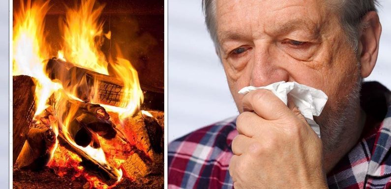 Britons told energy saving log burners now ‘increase health risk’