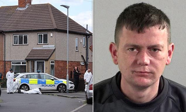 Brother, 35, admits stabbing his 46-year-old sibling to death