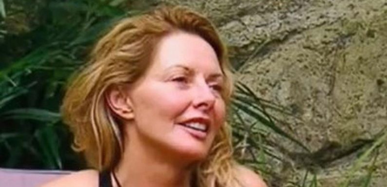 Carol Vorderman fans beg for sexy calendar as star poses in plunging swimsuit