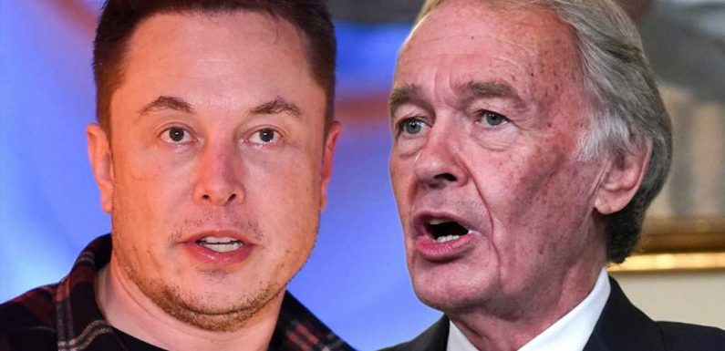 Elon Musk Might've Inadvertently Sparked a Senate Investigation Into Twitter