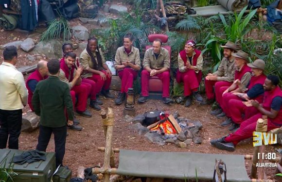 I'm A Celeb in 'fakery' row as campmate is accused of playing up to the cameras | The Sun