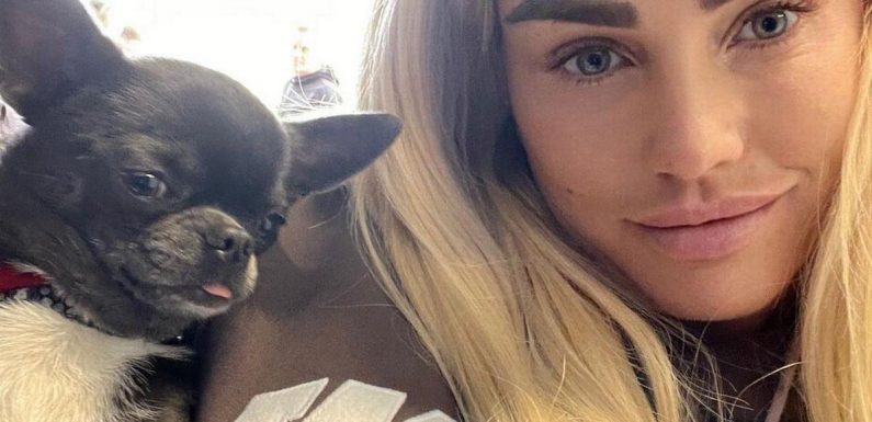 Katie Price ‘in bits’ as she ‘loses pet Chihuahua’ during luxury holiday