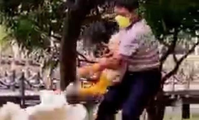 Man uses his granddaughter to saves himself from an enraged goose