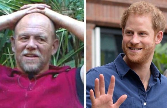 Mike Tindall shares Prince Harry contribution to Zara romance